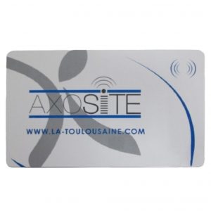 Badge maître AXOSITE La Toulousaine Pièces détachées