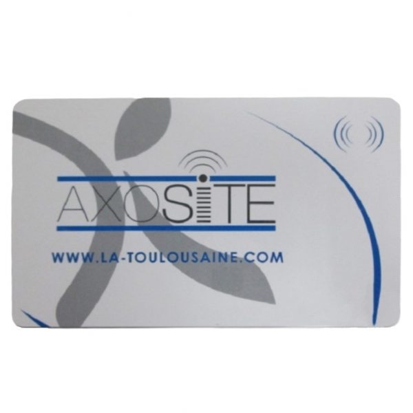 Badge maître AXOSITE La Toulousaine Pièces détachées